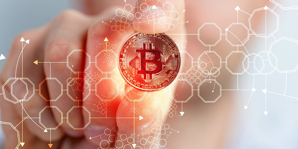 Bull Prophet Crypto