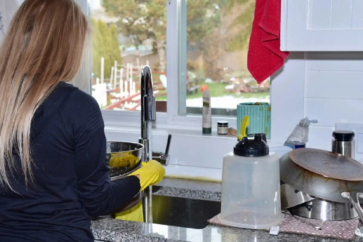 house cleaner service