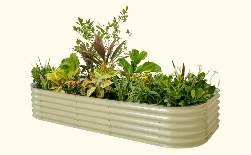 Grow Fresh Veggies With Your Very Own Raised Garden Bed Kit