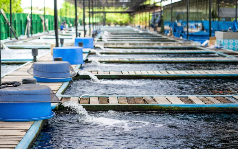 Understanding The Value Of Hiring A Commercial Aquatic Services