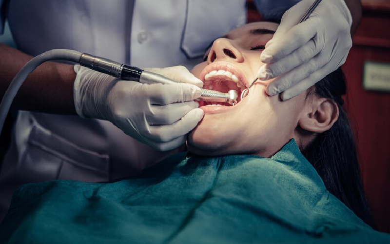 dental services tampa