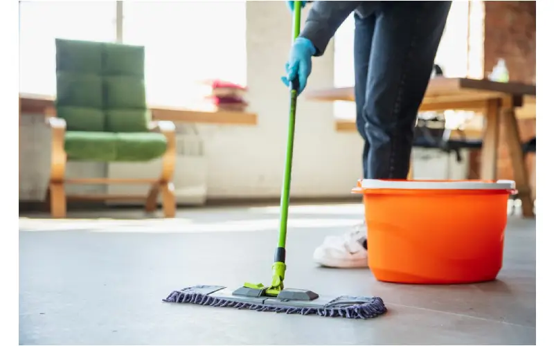 Advantages Of Hiring A Professional Rockford Cleaning Company
