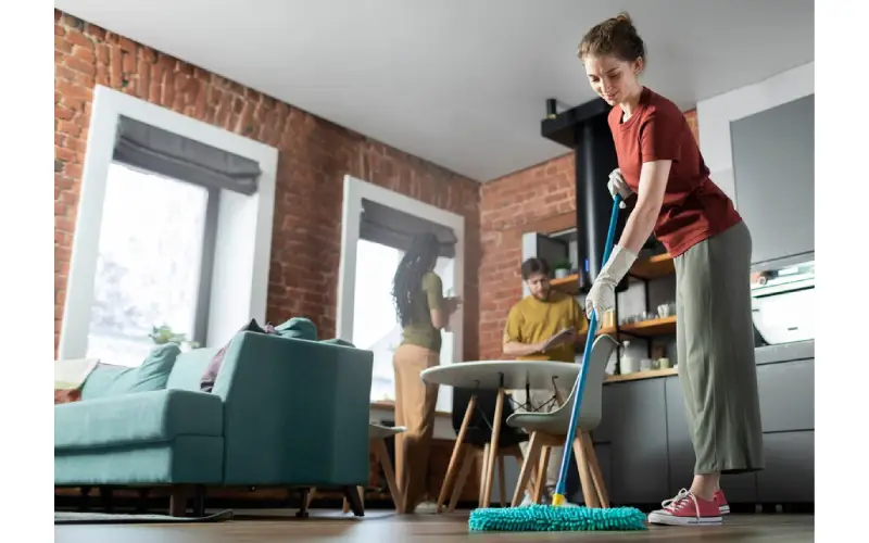 grand rapids home cleaning company