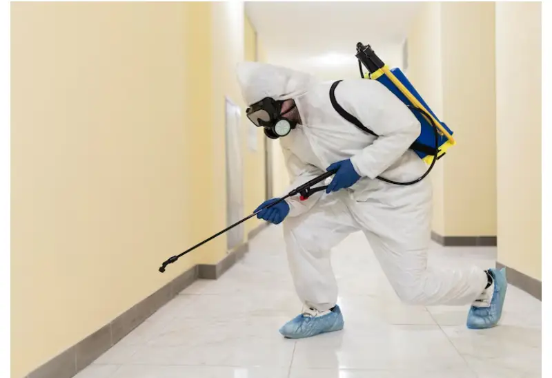 How to Find the Best Cockroach Exterminator in Toronto?