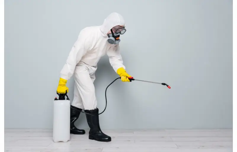 Cockroach Exterminator In Toronto