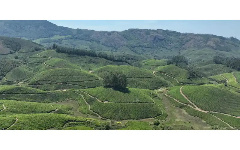 Kerala Travel