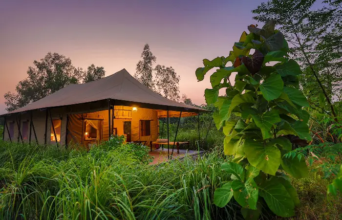 Why Choose Luxury Villas In Goa For Your Dream Beach Escape?