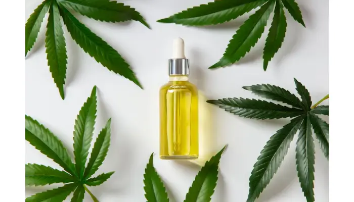 Top Reasons to Buy Pure CBD Oil This Year for Health Benefits