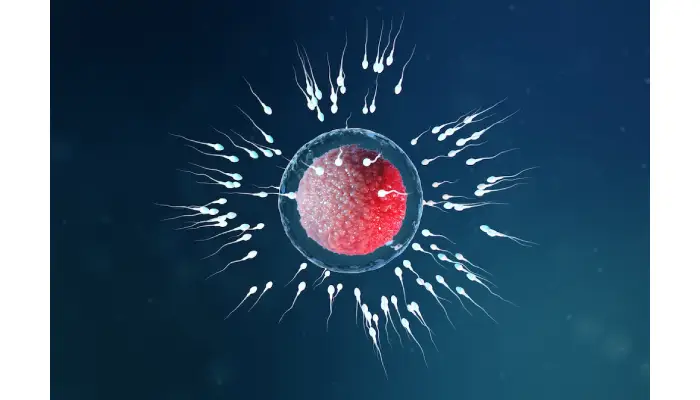 Egg Freezing in San Diego: A Cost Breakdown