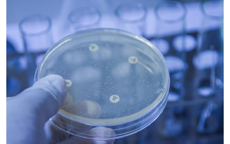 What Makes Adult Stem Cell Banking Sunrise Important?