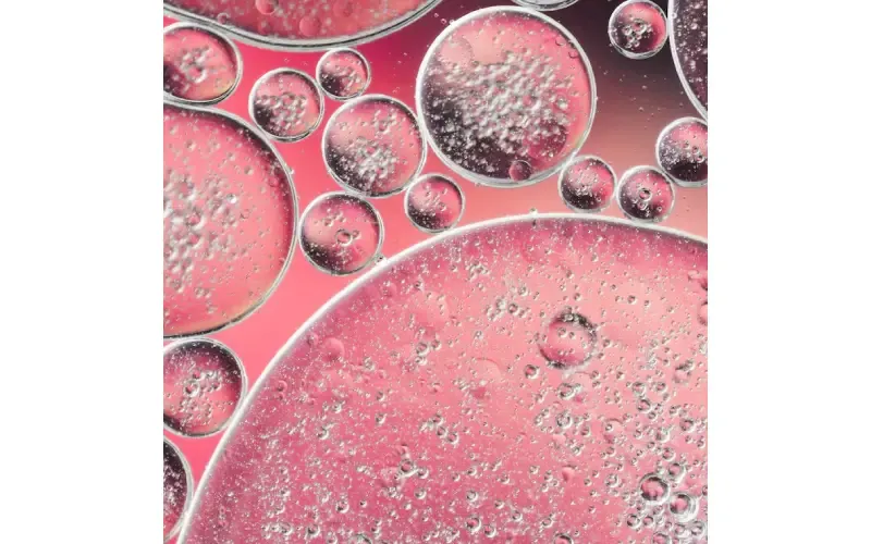 What Healthcare Professionals Say About Adult Stem Cell Banking Sunrise Today?