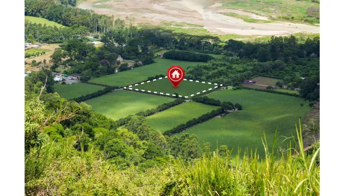 How to Buy Land in Florida Without a Realtor?