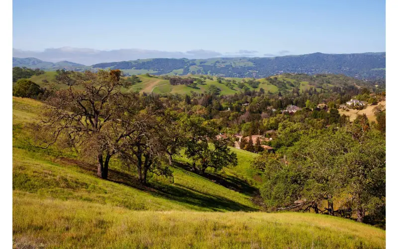 What Does Property Management in San Ramon Include?