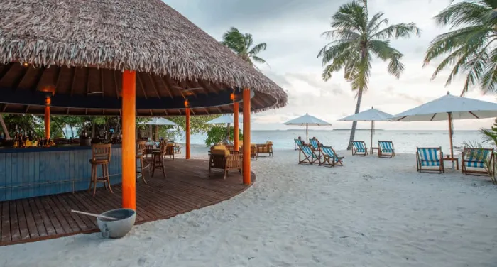 How to Enjoy Nightlife at a Bar in Maldives?