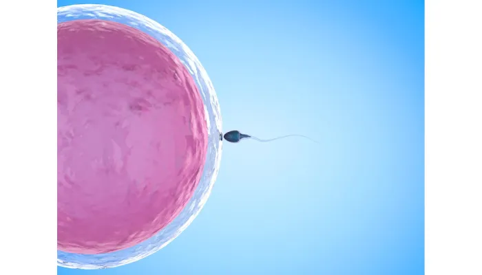 How to Plan for IVF Cost San Diego?