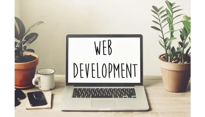 Custom Web Development Services for Scalable Online Platforms